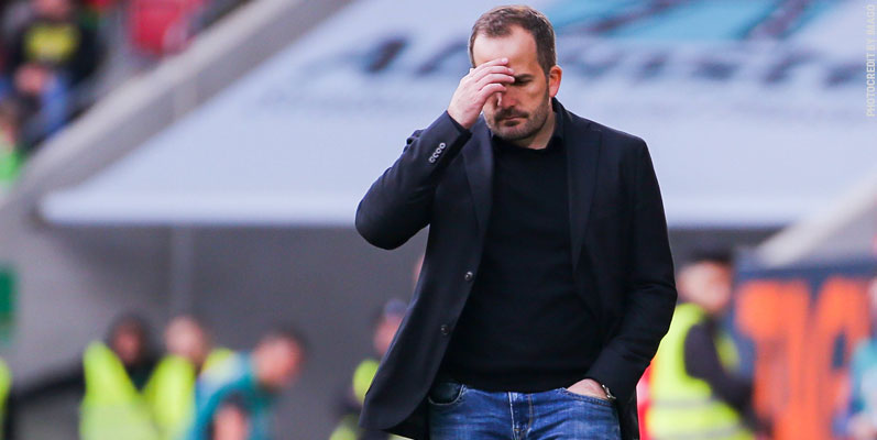 Kann ein Baum die Bullen stoppen?